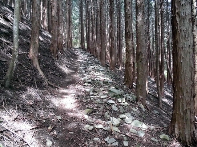 nakatu028.jpg