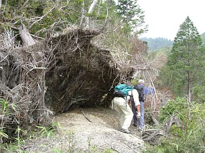 sanbou14.jpg