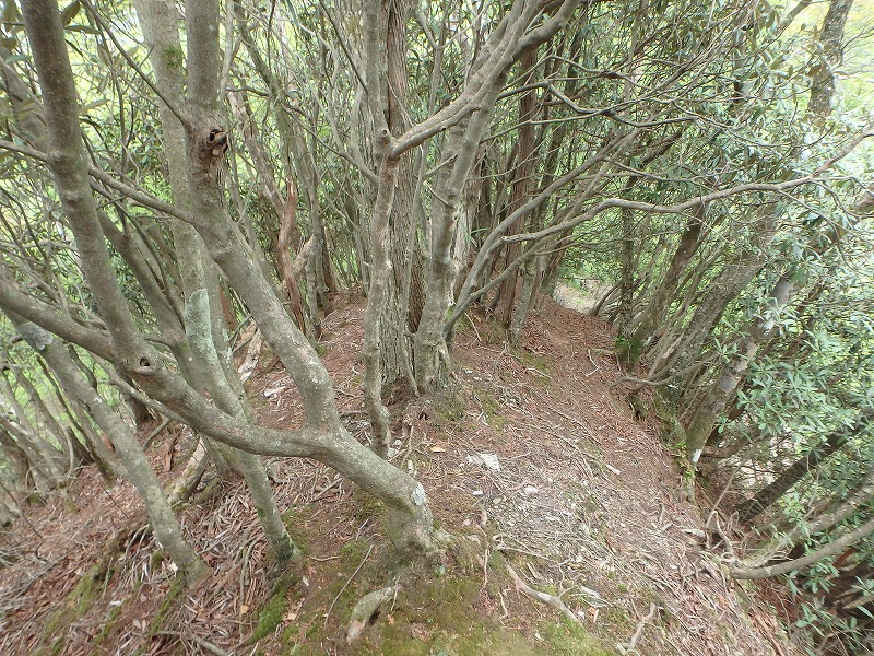 sanbou48.jpg