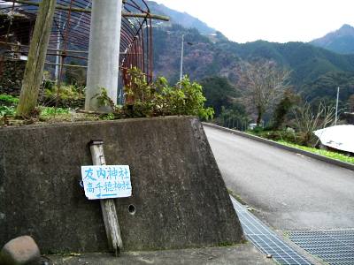 tomo03.jpg