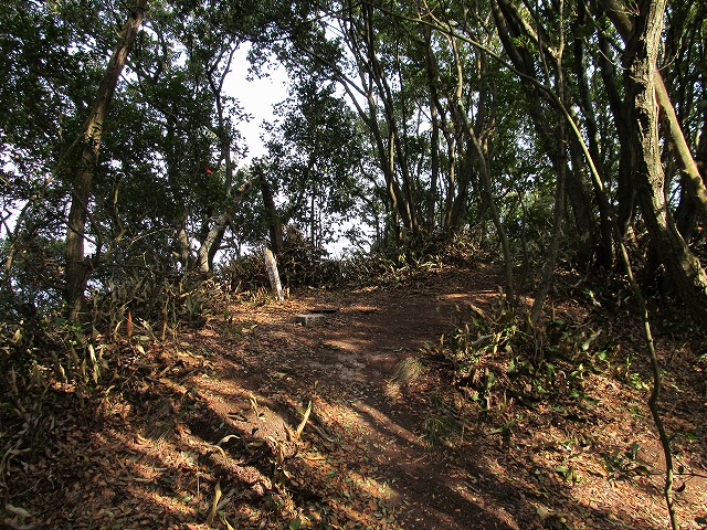 douun38.jpg
