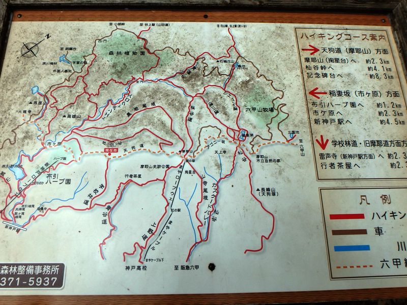 maya154.jpg