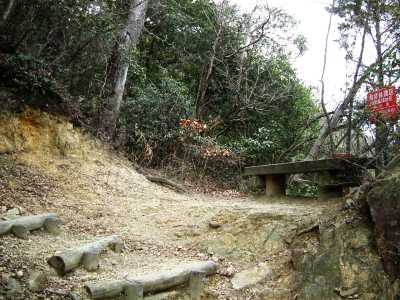 nyotai08.jpg