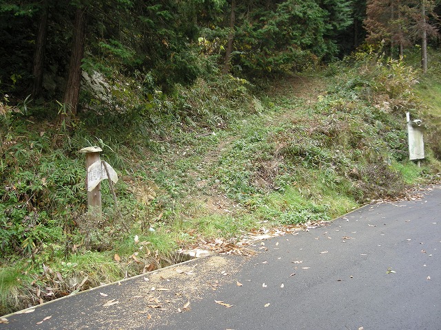 ootaka02.jpg