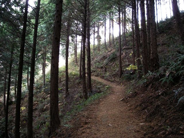ootaka05.jpg