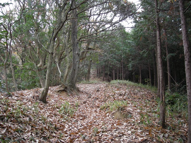 ootaka07.jpg