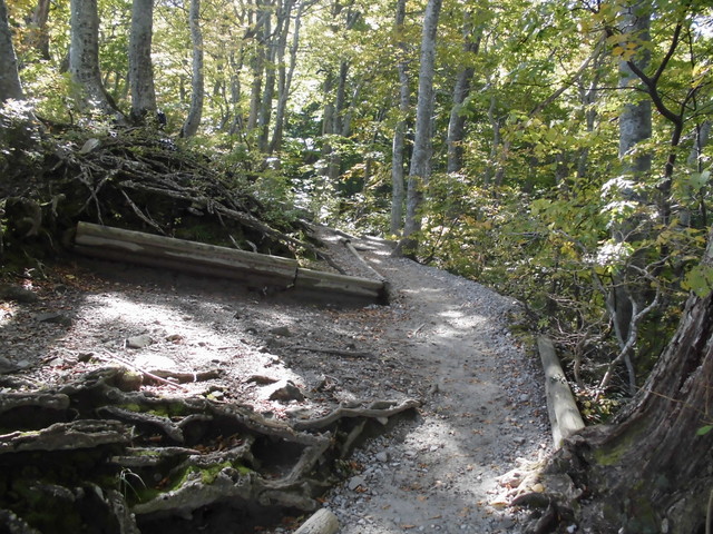 daisen053.jpg