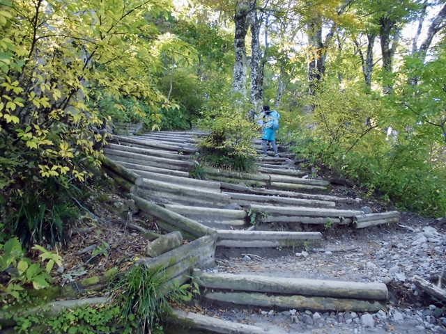 daisen058.jpg