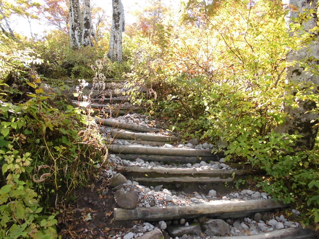 daisen067.jpg