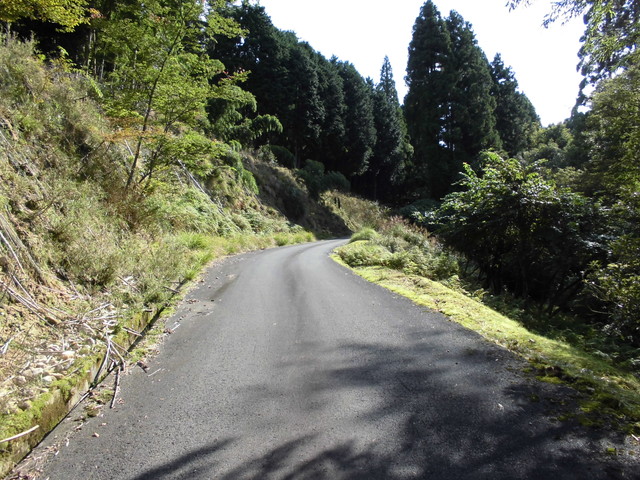 isanago08.jpg