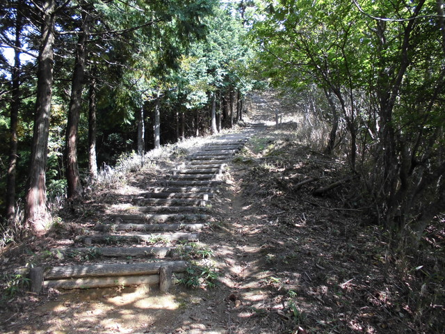 isanago41.jpg
