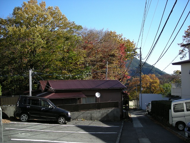 kintoki002.jpg