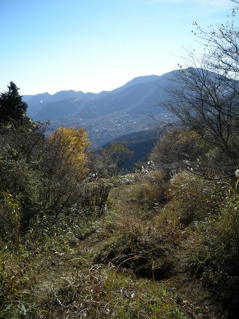 kintoki092.jpg