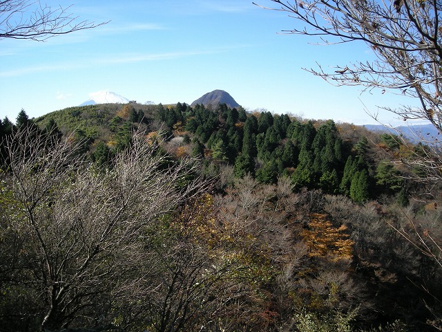 kintoki096.jpg