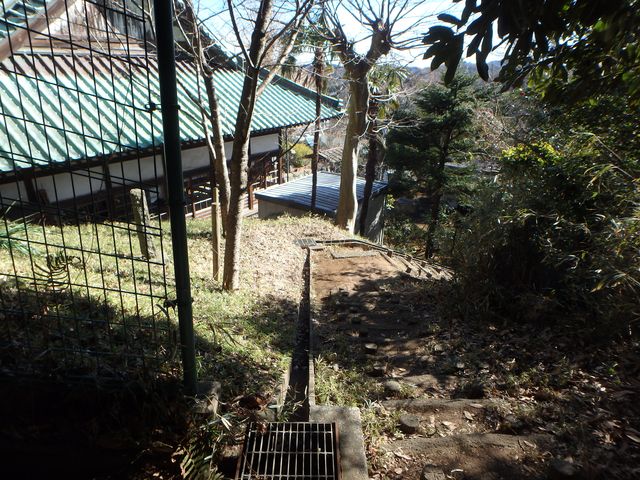 oogusu053.jpg