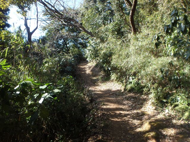 oogusu082.jpg