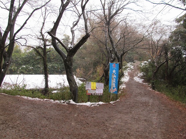 tenen66.jpg