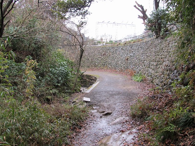 tenen79.jpg