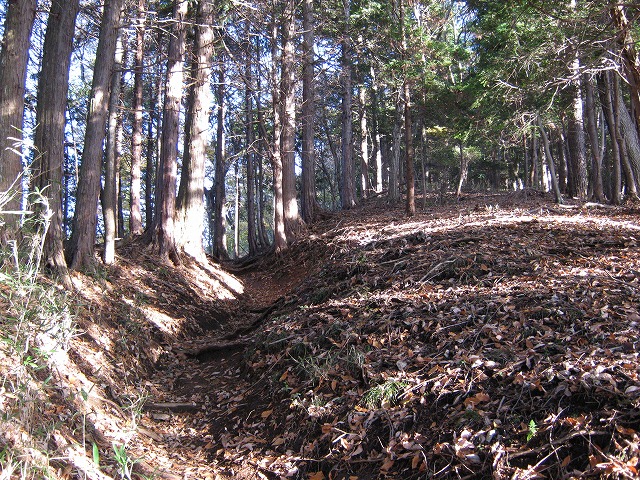 toudake09.jpg