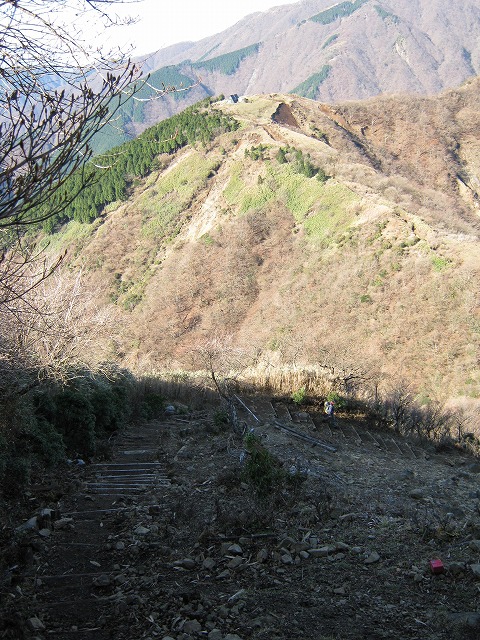 toudake38.jpg