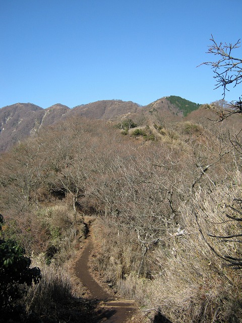 toudake46.jpg
