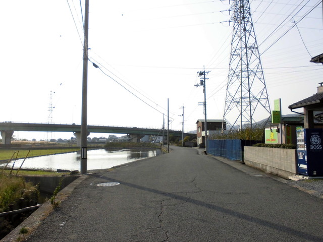tbangai_250.jpg