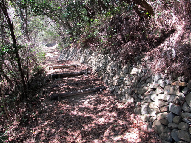 t01_095.jpg