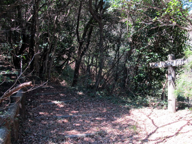 t01_096.jpg