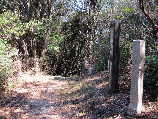 t01_102.jpg