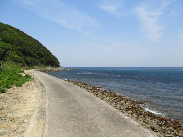 t01_178.jpg