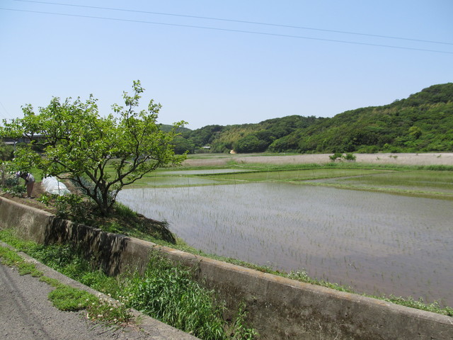 t01_194.jpg