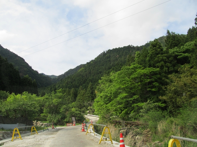 t10_014.jpg