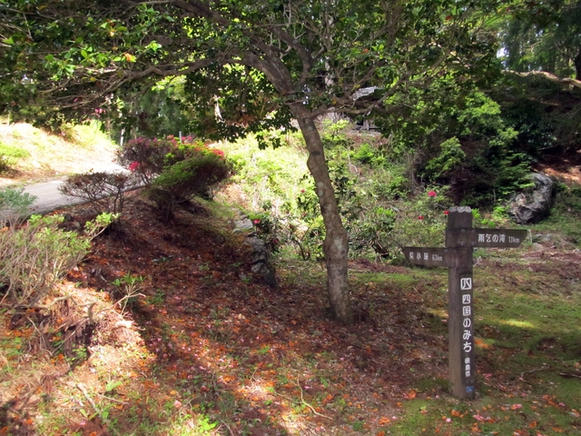 t10_069.jpg