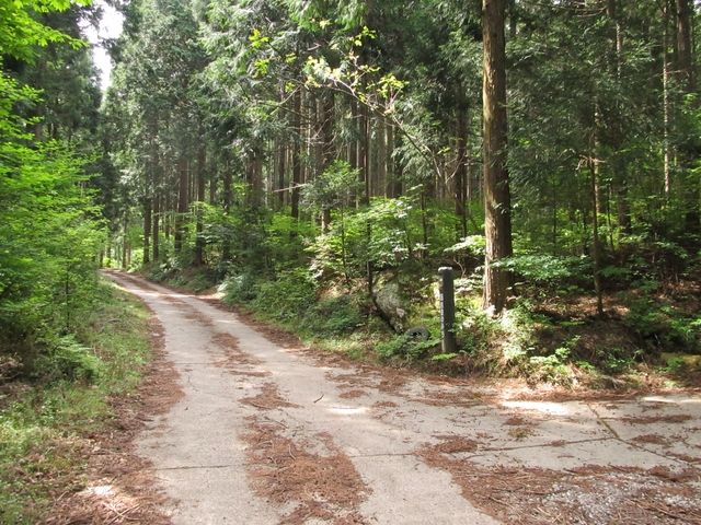 t10_076.jpg