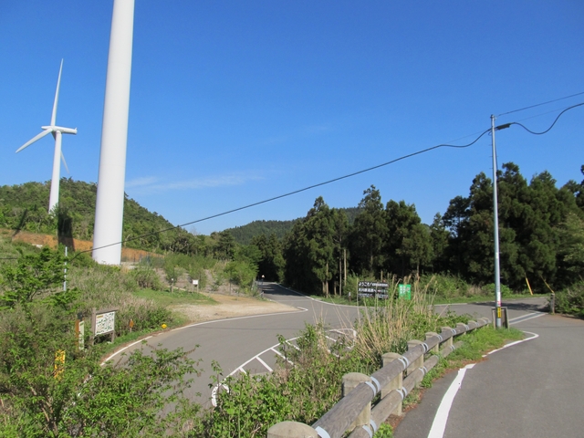t10_308.jpg