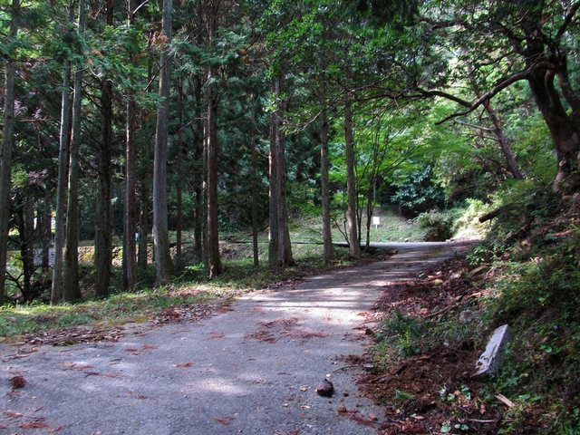 t11_054.jpg