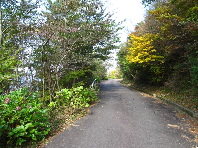t11_155.jpg