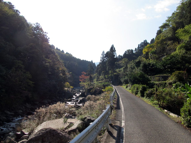 t12_006.jpg