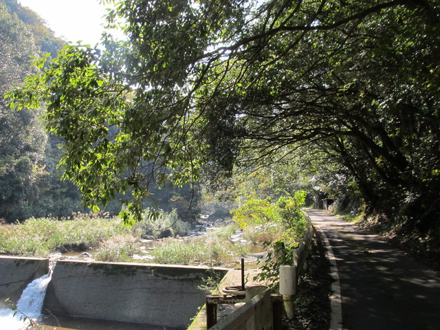 t12_009.jpg