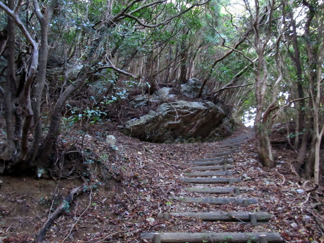 t12_038.jpg