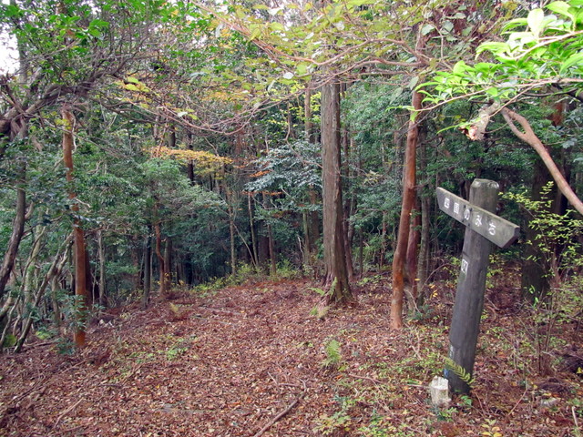 t12_088.jpg