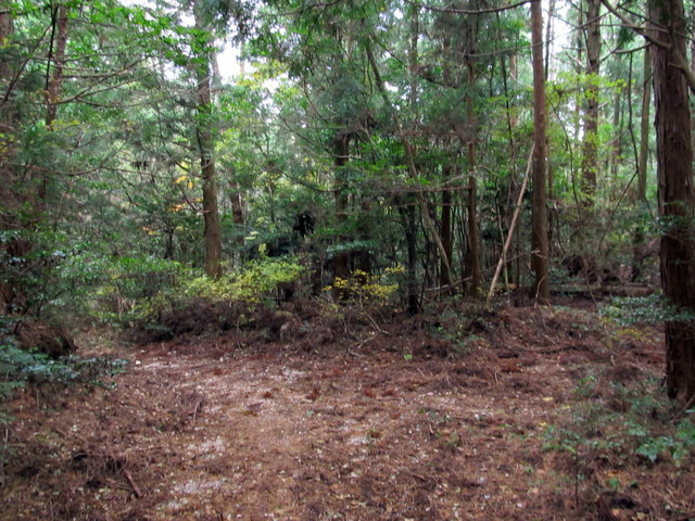 t12_104.jpg