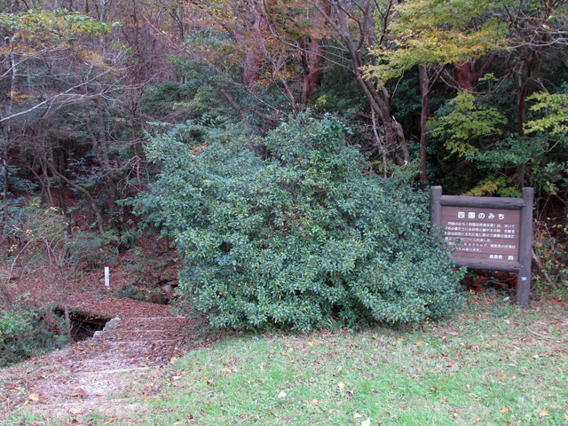 t12_123.jpg