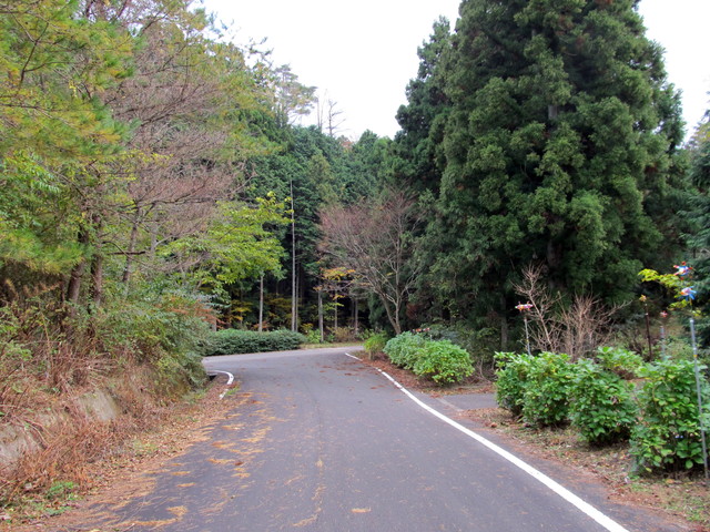 t12_128.jpg