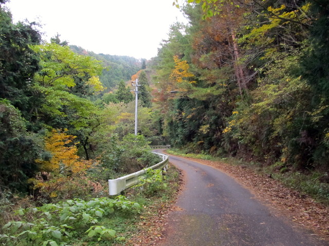 t12_132.jpg