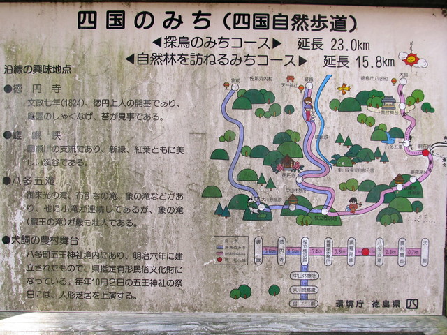 t12_141.jpg