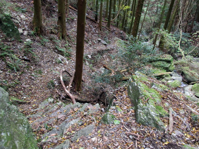 t12_152.jpg