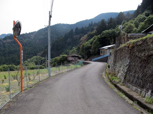 t13_012.jpg