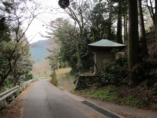 t13_018.jpg