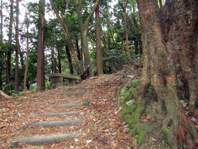 t13_038.jpg